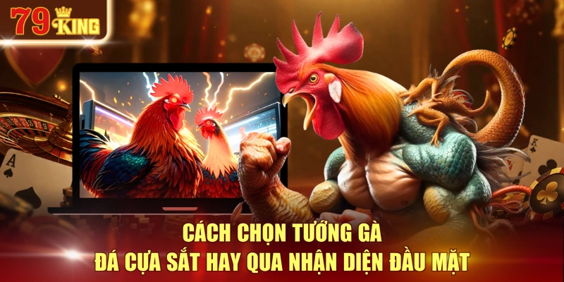 Cách chọn tướng gà đá cựa sắt hay qua nhận diện đầu mặt