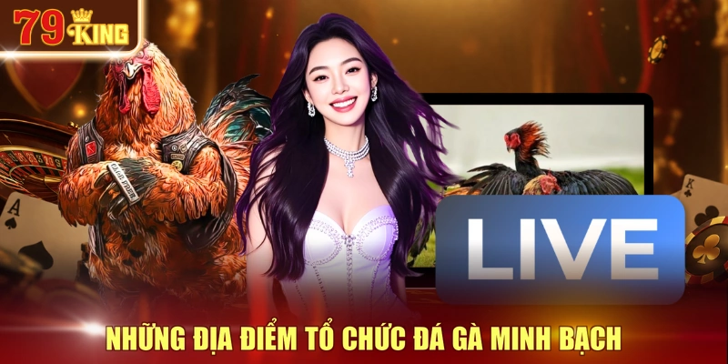 Những địa điểm tổ chức đá gà minh bạch 